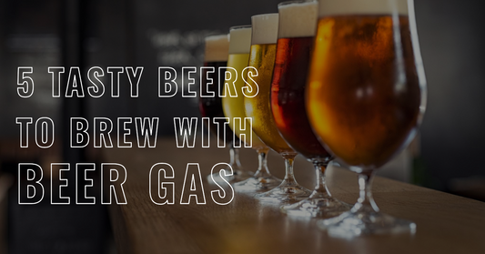 5 Tastiest Beers to Brew with Beer Gas
